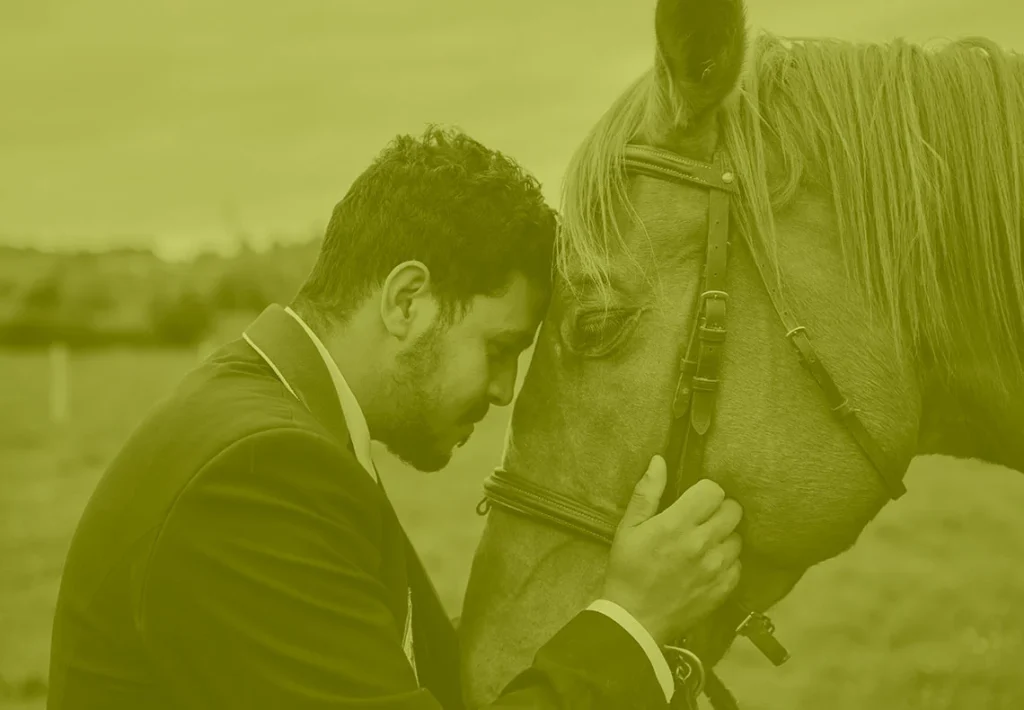 Coaching con caballos