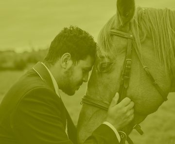 Coaching con caballos